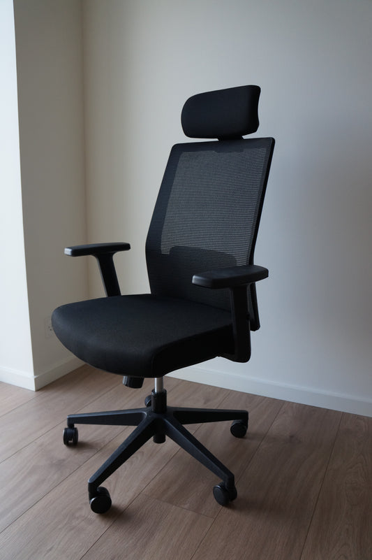 Office Chair Ergo 318 Ergonomic + Neck Support